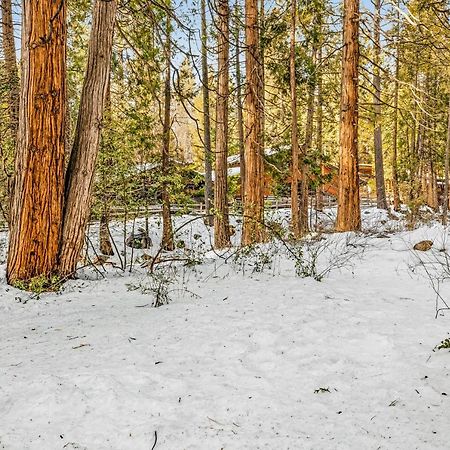 ホテルCreekside Cabin アイディルワイルド エクステリア 写真